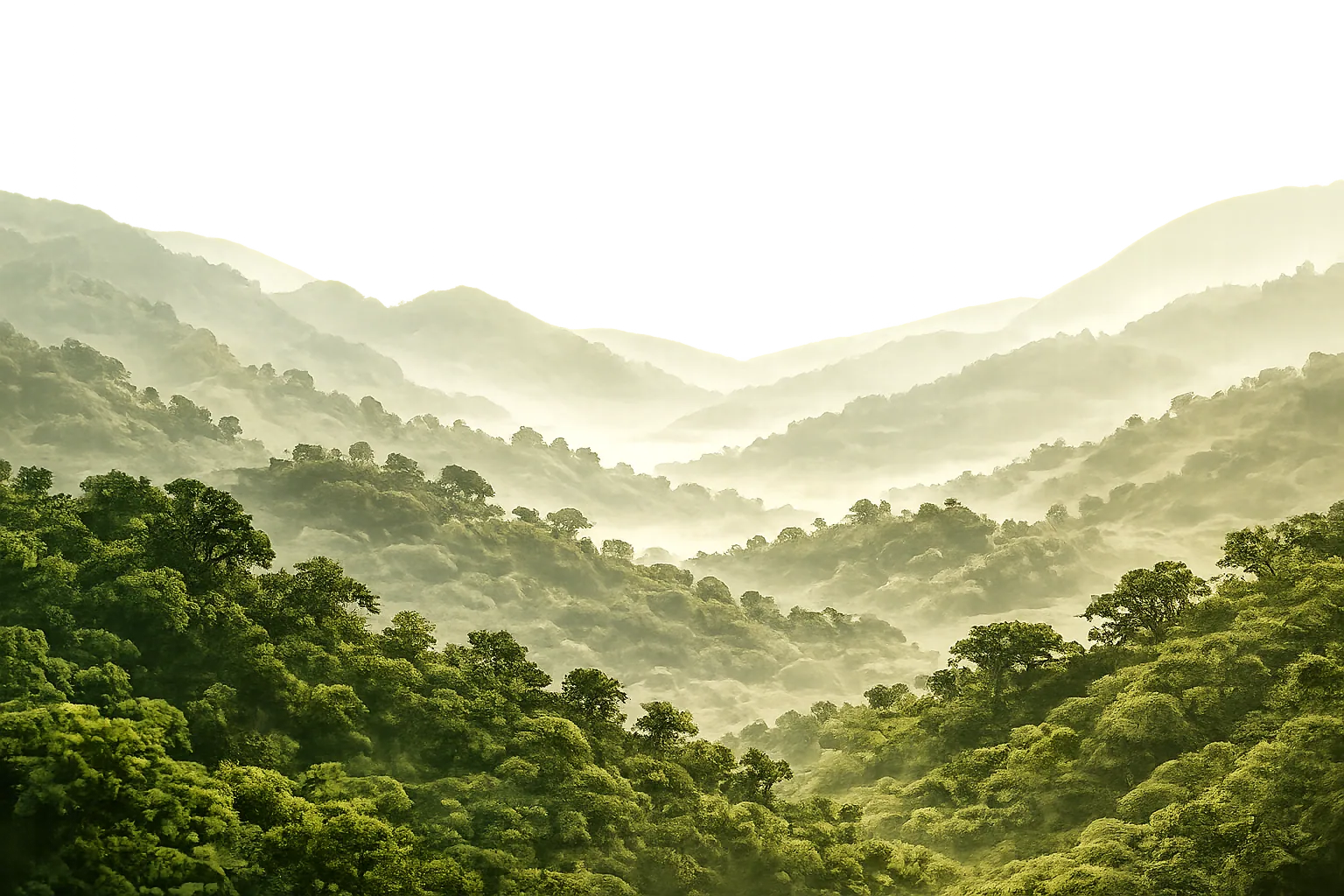 Western Ghats sourcing